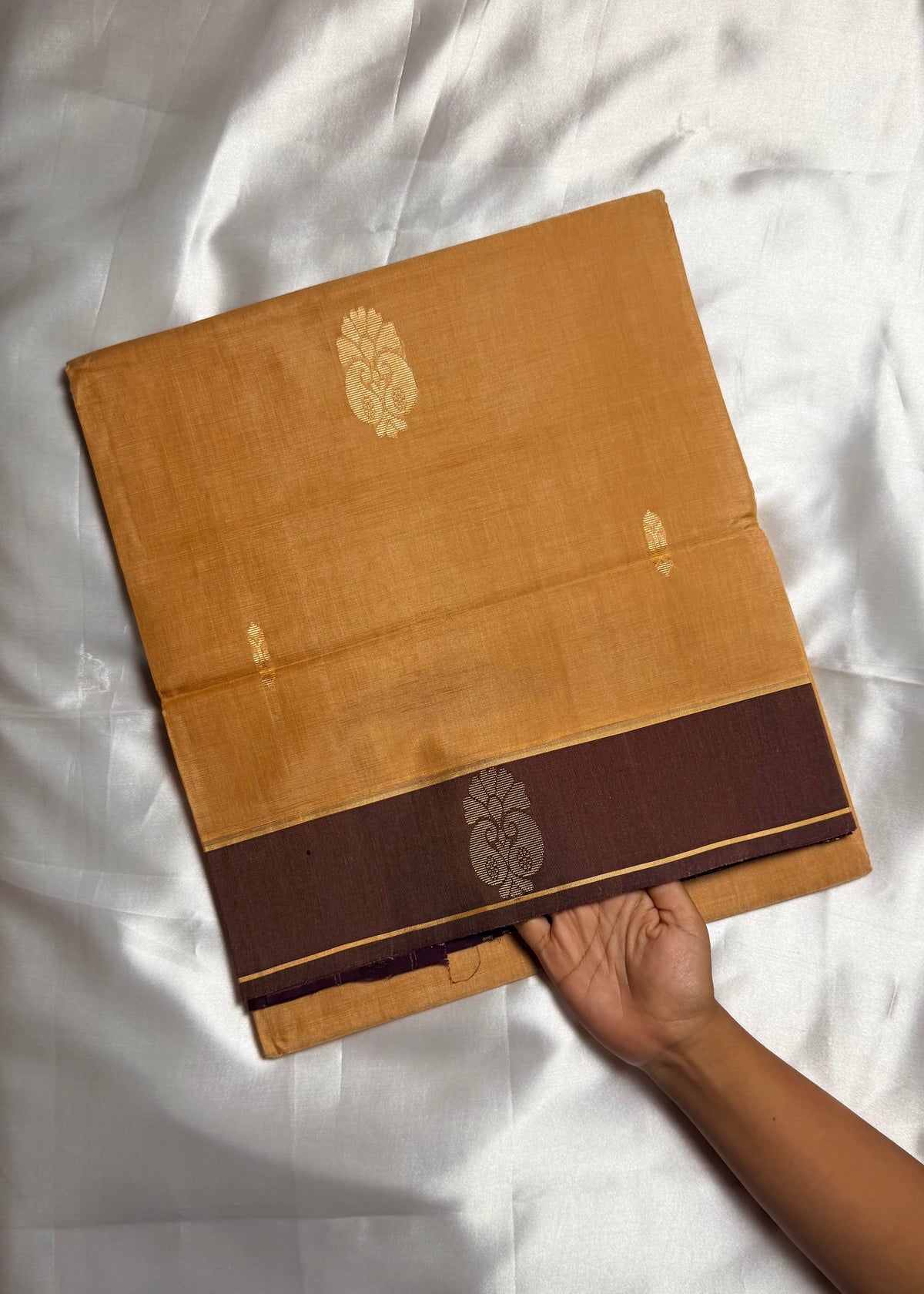 Handloom Vegan Silk Saree