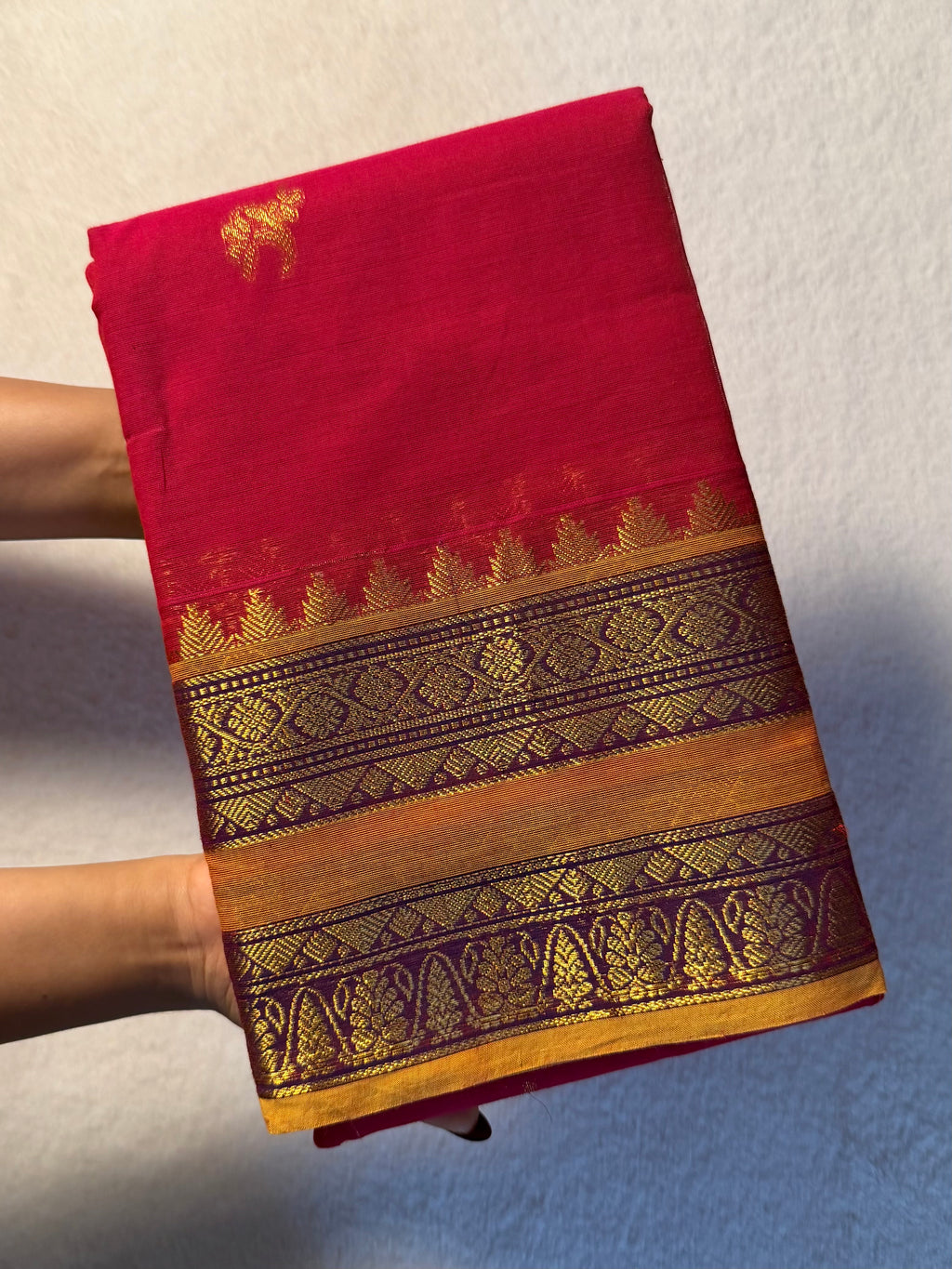 Grand Pallu Vintage Premium Kanchi Cotton Saree