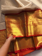 Glass Tissue Saree